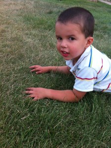 Jonathan loves to roll in the grass!