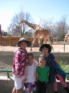 Check out the giraffe!