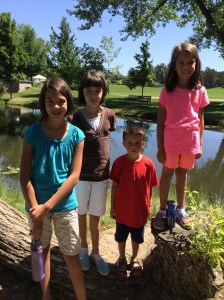 Hudson's Gardens July 2016